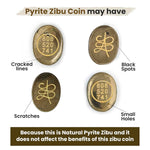 Load image into Gallery viewer, Pyrite Zibu Coin – Pack of 2 Pcs | Prosperity & Abundance Crystal Talisman - Akshay Gems