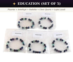 Load image into Gallery viewer, Education Set of 5