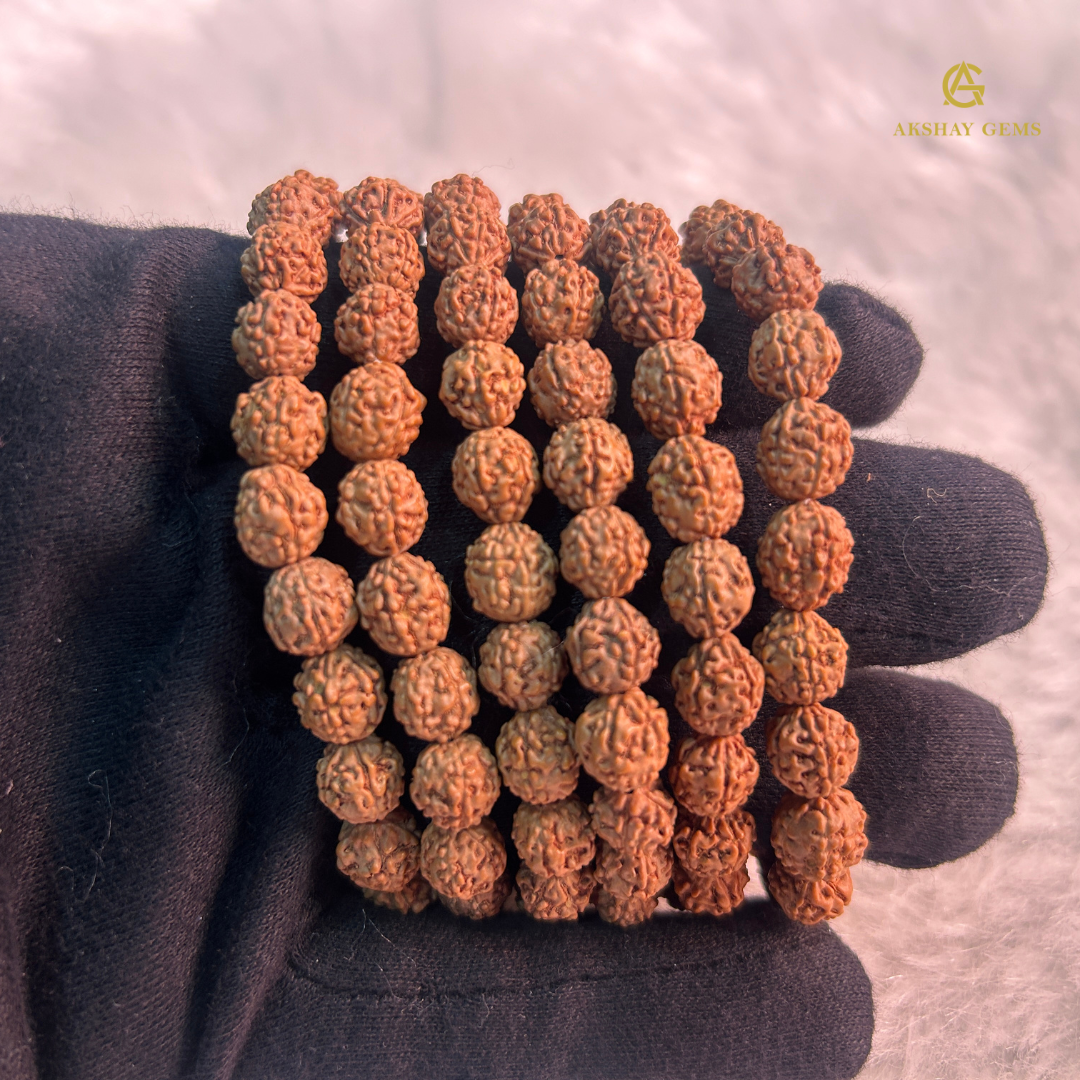 5 MUKHI RUDRAKSHA BRACELET