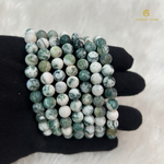 Load image into Gallery viewer, Natural Tree Agate Bracelet
