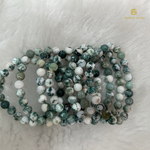 Load image into Gallery viewer, Natural Tree Agate Bracelet
