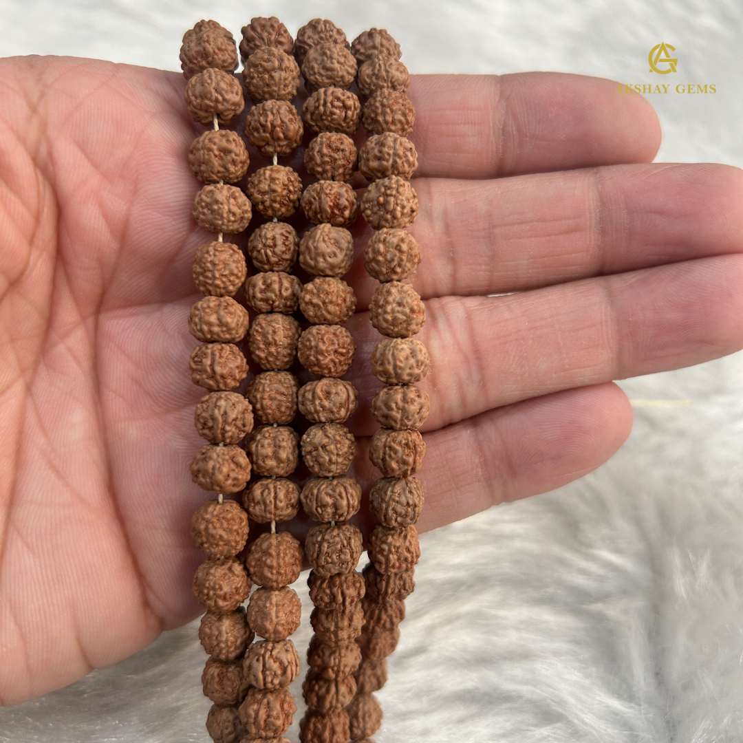 Rudhraksh 5 Mukhi 108 Beads japa mala